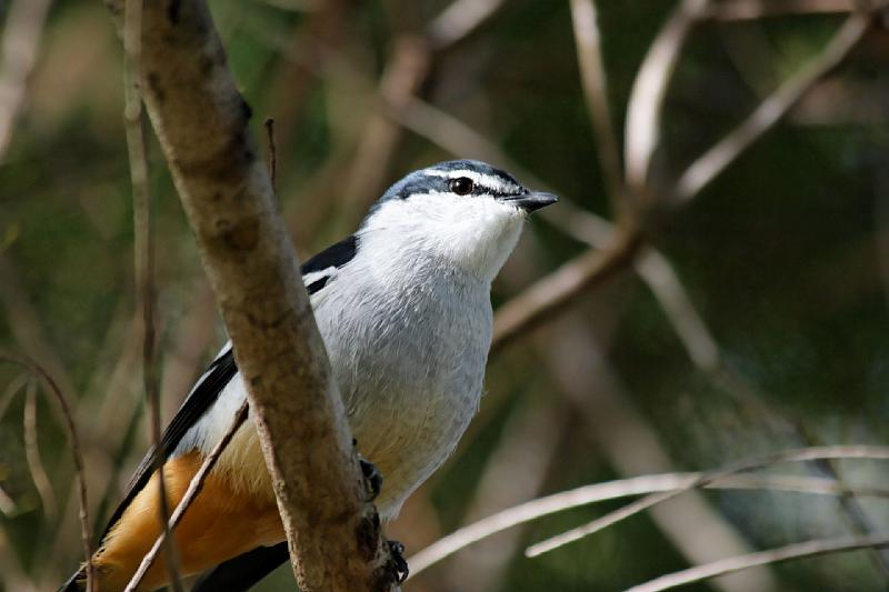 2007 05 16 Fraser Island 018_DXO.jpg